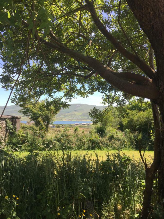 ホテル Retro Caravans At Valentia Island Escape Chapeltown エクステリア 写真